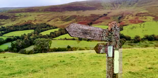 Enjoy a taster walk with the Friends of the Brecon Beacons