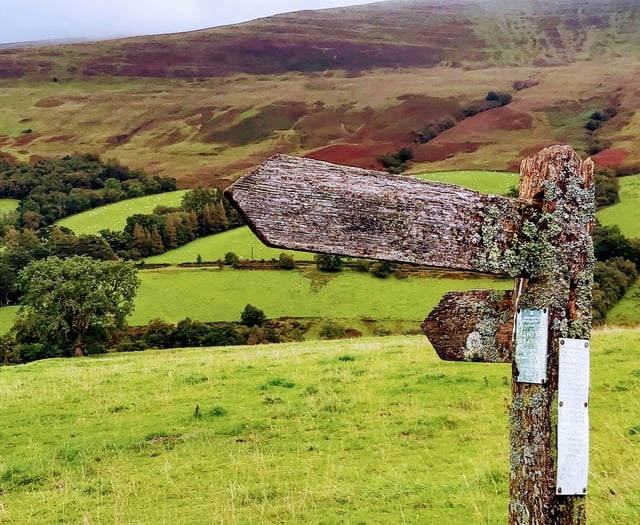 Enjoy a taster walk with the Friends of the Brecon Beacons