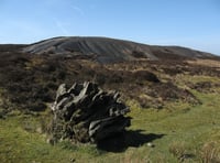 Close eye being kept on Torfaen's most unstable coal tips 