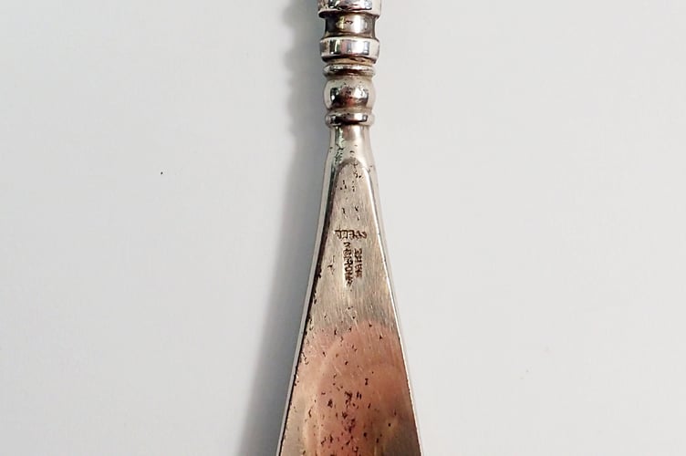 Punch Silver Shoehorn