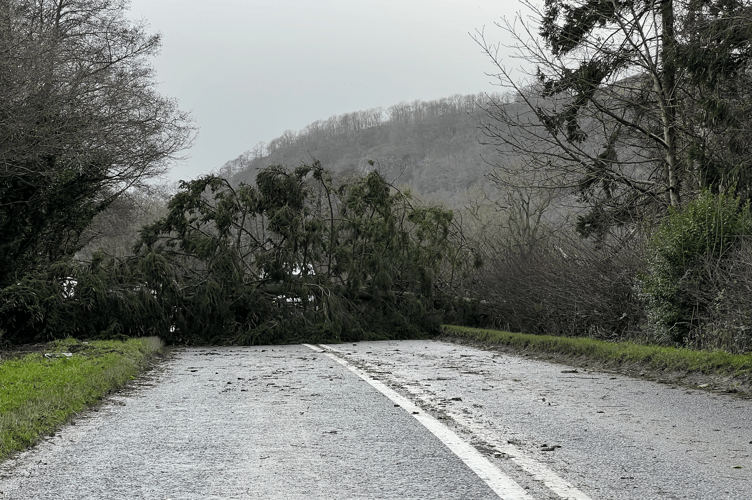 A tree has fallen down and blocked the road along the A44 from Radnor to Kington. 