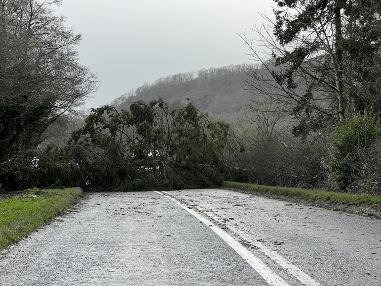A tree has fallen down and blocked the road along the A44 from Radnor to Kington.