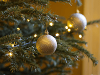 The Editor writes: The annual search for the perfect Christmas tree