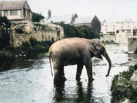The Past in Colour 
