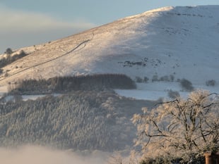 
Are you dreaming of a white Christmas? 