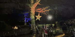 
Light show transforms Linda Vista Gardens! 
