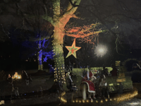 
Light show transforms Linda Vista Gardens! 
