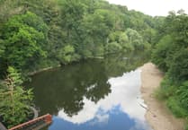River health meeting reveals mixed results