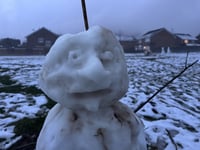 
Ice cool snowman caught chilling with intent in Croesonen Parc
