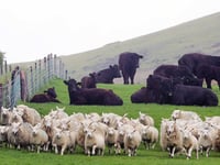 Local farmers wanted to help navigate the path to net zero 