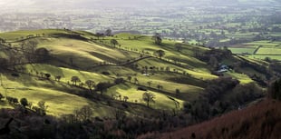 Outbreak of foot and mouth in Germany 'a concern' for farmers in Wales