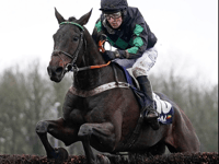 Iwilldoit finishes brave second in Haydock showcase