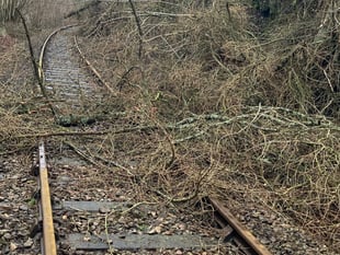 Check travel plans as Storm Eowyn heads towards Wales