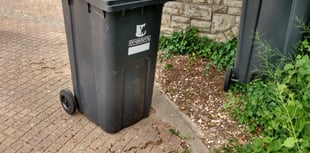 More than 1,000 homes missed out on garden waste collection admits MCC