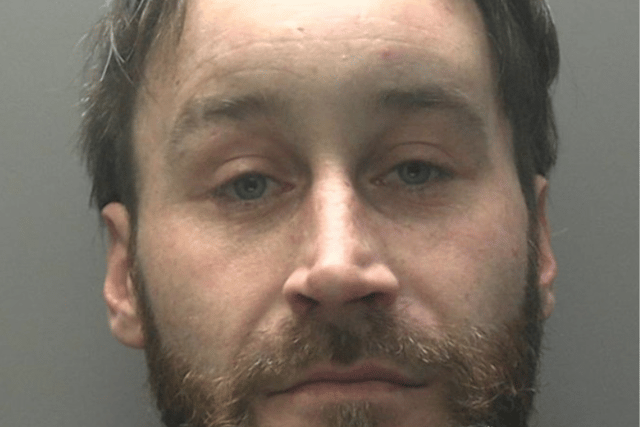 XL Bully  attack on child results in three-year sentence for owner