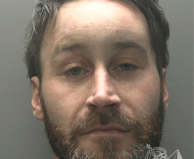 XL Bully  attack on child results in three-year sentence for owner