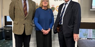 New chairman for awards' council