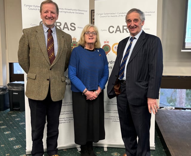 New chairman for awards' council