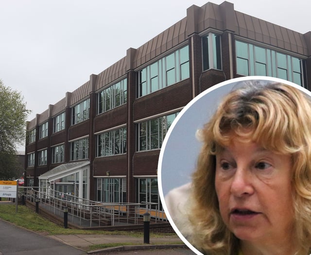 Commissioner quits role overseeing under-fire children's services
