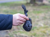 New officers to hit the streets of Abergavenny in dog mess crackdown