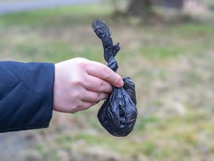 New officers to hit the streets of Abergavenny in dog mess crackdown
