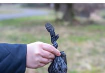 New enforcement officers to hit the streets of Abergavenny in dog mess crackdown