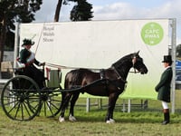Royal Welsh Show 2025 schedules now live – entries opening soon
