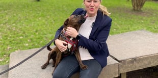 
Roxy the dog makes big impression on Laura Anne Jones 