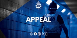 Witnesses sought for alleged town centre assault