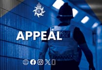 Police seek dashcam footage after Raglan crash