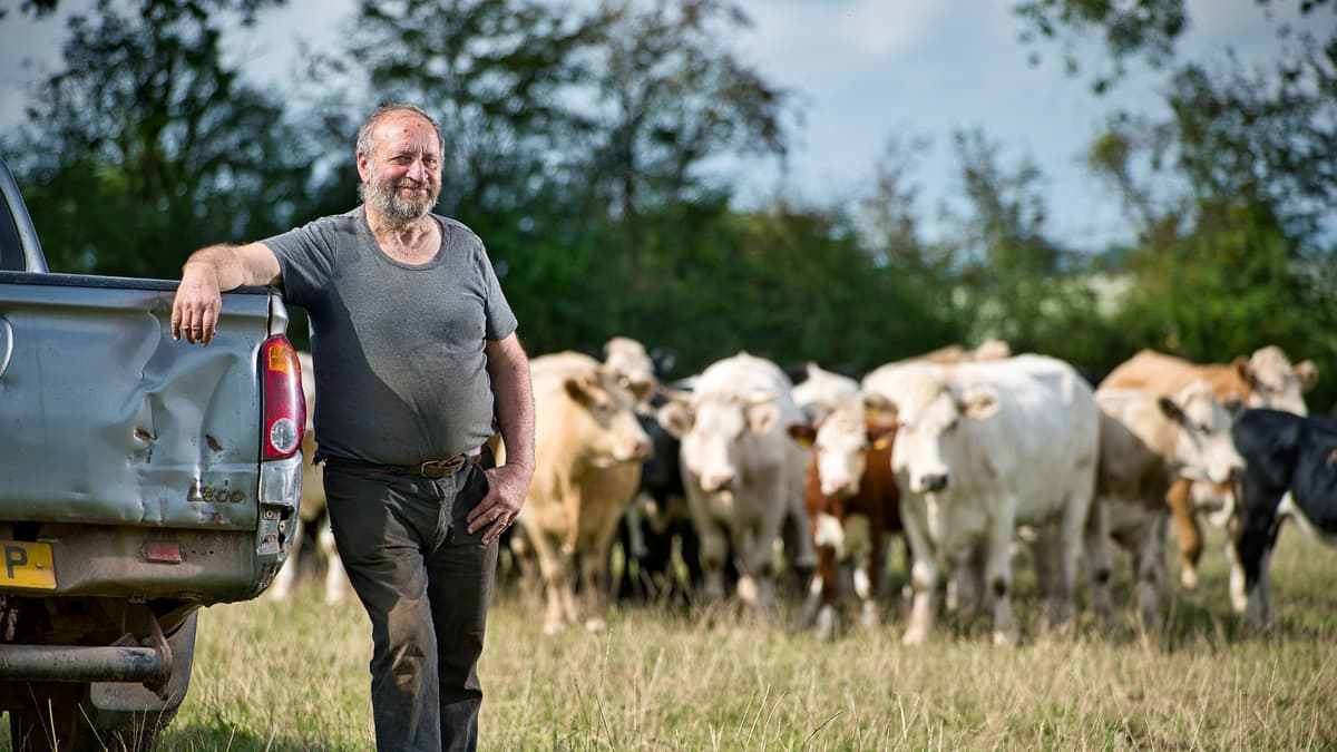 Organic meets Regenerative farming at Square Farm ...