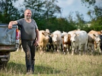 Organic meets Regenerative farming at Square Farm