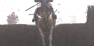 Sam's Katate Dori kicks on in £150k Kempton showcase