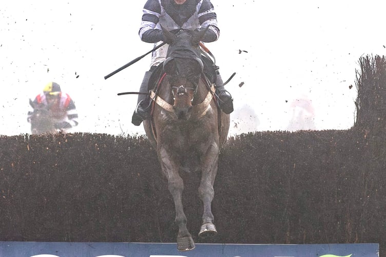 Katate Dori winning at Chepstow in January 