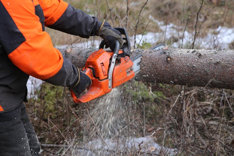 Chain saw