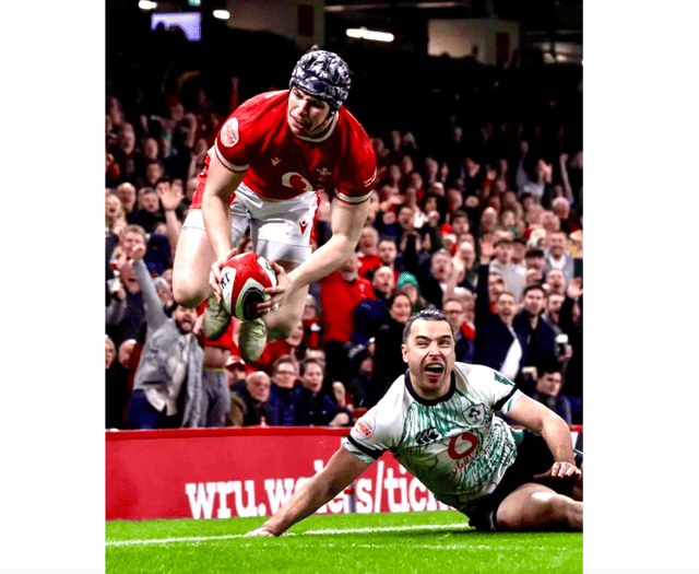 Jenkins sees 'real positives' in pushing the Irish