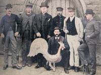 The Past In Colour 