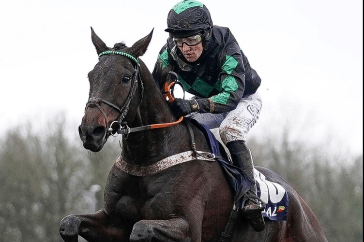 Iwilldoit ran a brave second at Haydock. File photo: Diamond Racing