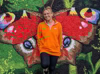 Artist transforms Abergavenny park with murals