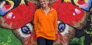 Artist transforms Abergavenny park with murals