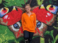 Artist transforms Abergavenny park with murals