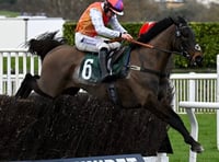 Cheltenham joy for Ben as Sam's festival hopes dashed