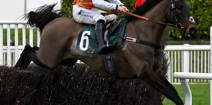 Cheltenham joy for Ben as Sam's festival hopes dashed