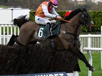 Cheltenham joy for Ben as Sam's festival hopes dashed