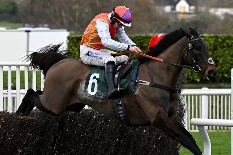 Ben Jones riding Haiti Couleurs to victory at Cheltenham