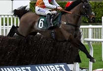 Cheltenham joy for Ben as Sam's festival hopes dashed