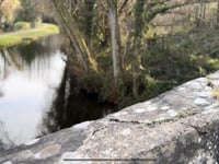 Will they really let our iconic canal run dry? 