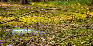 The Editor Writes: The curse of the litter lout