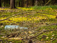 The Editor Writes: The curse of the litter lout