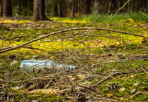 The Editor Writes: The curse of the litter lout